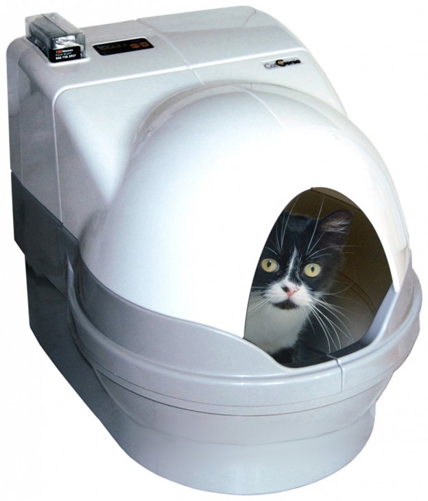 5 Best Dome Litter Box - No more litter everywhere in your house - Tool Box