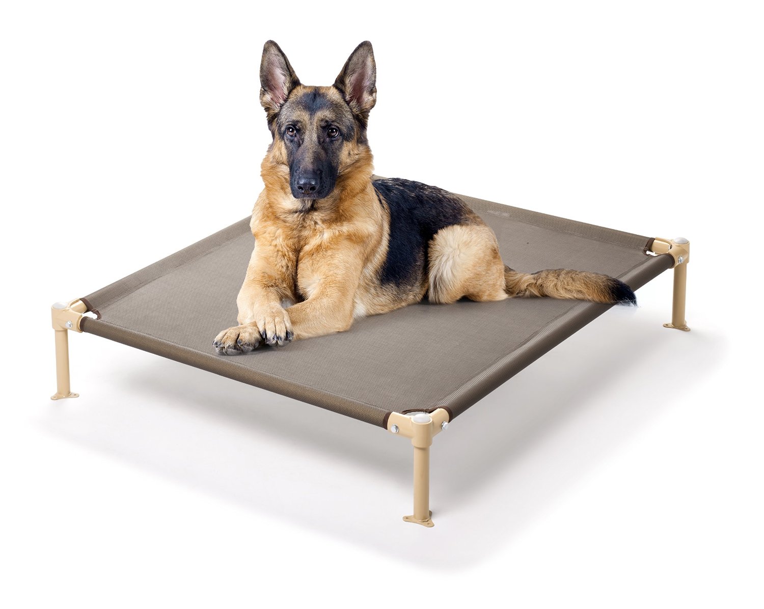 Лежак для собаки elevated Dog