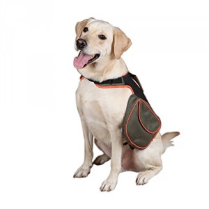 emergency dog backpack