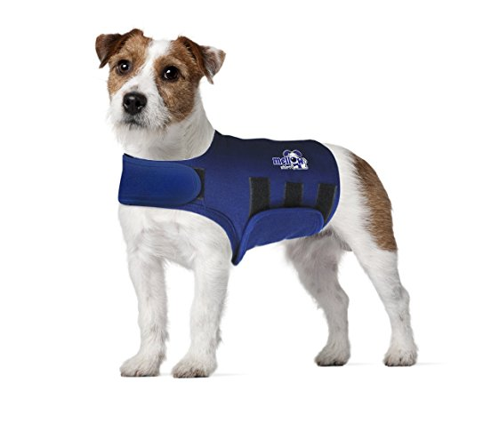 Calming Shirt For Dogs
 8 Best Dog Anxiety Shirt Easy and efficient solution to calm and