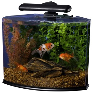 5 Best Tetra Aquarium - Tetra Crescent Acrylic Aquarium Kit 300x300