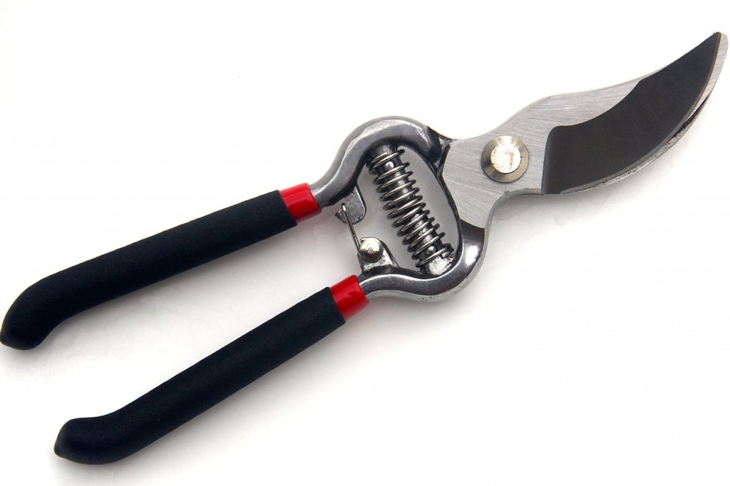 5 Best Pruning Shears - Enjoy easier pruning experience - Tool Box