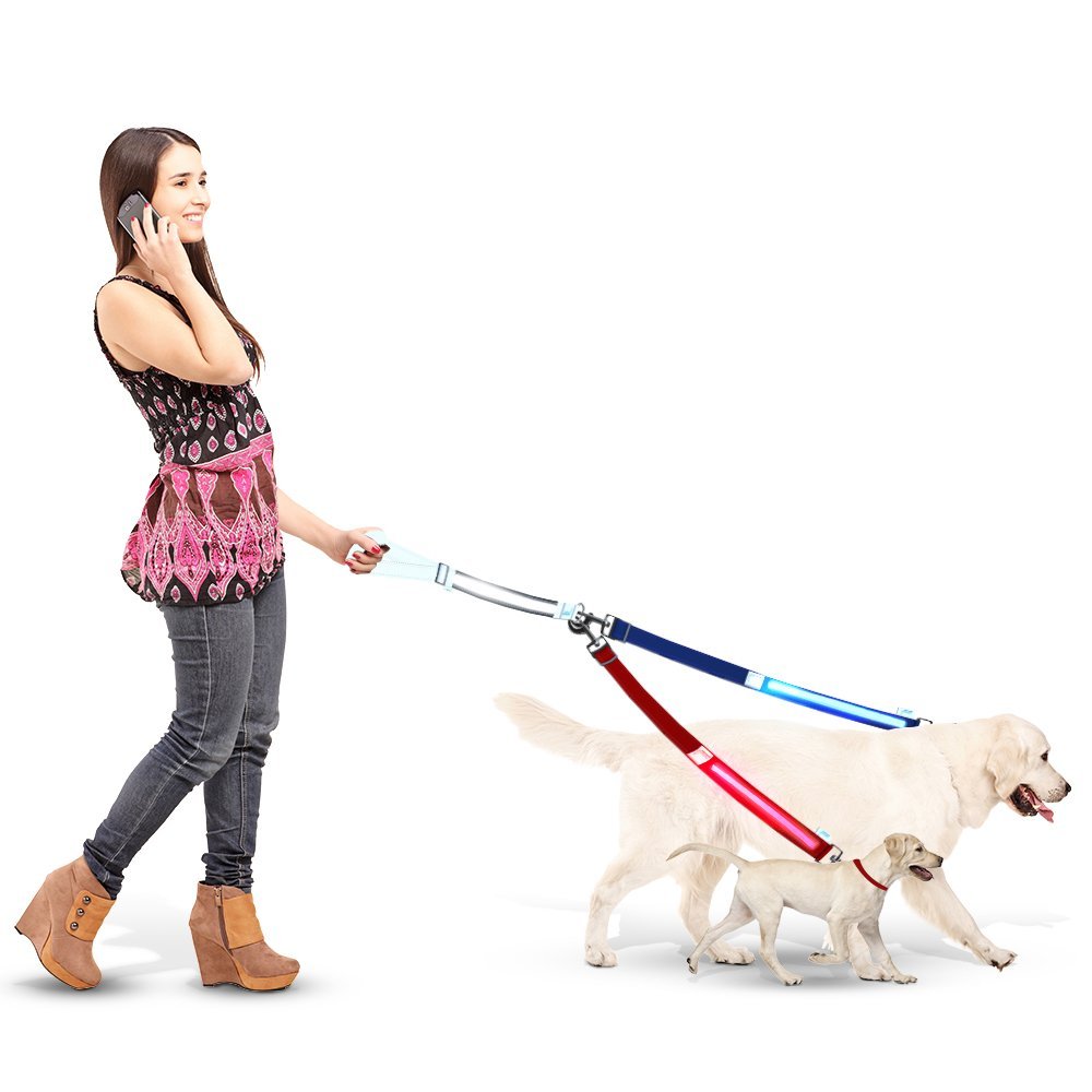 5 Best Double Dog Leash Enjoyable hasslefree walking and fun