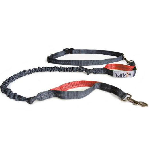 handsfree dog leash