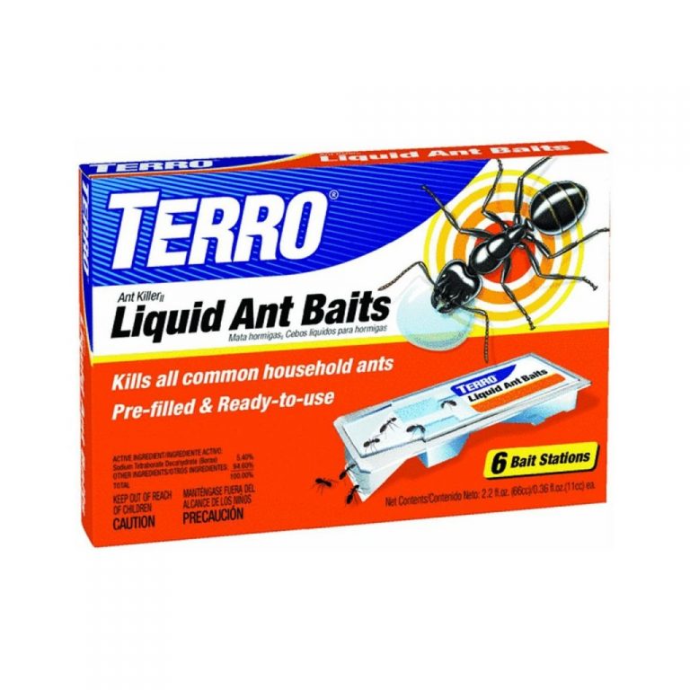 5 Best Ant Killers - Keeping Your Home Away From Ant - Tool Box