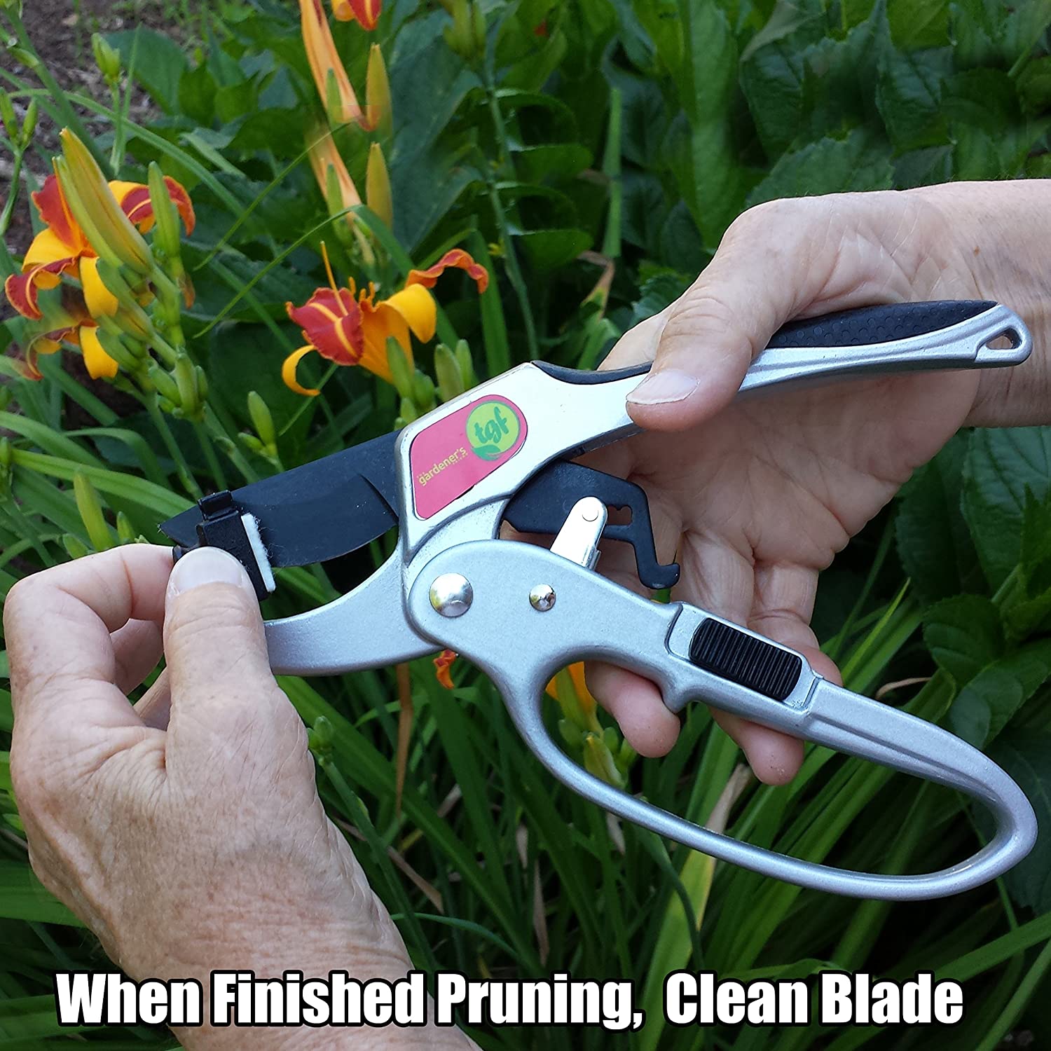 8 Best Pruners Reviews That Will Trim Your Garden To Precision Tool Box