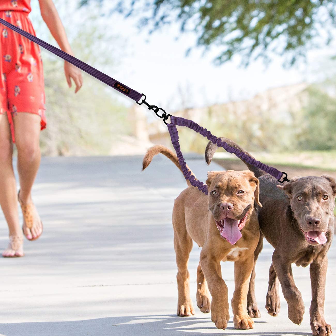 8 Best Double Dog Leash Coupler Enjoy walking your two dogs together