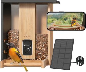 Smart Bird Feeder with Camera: Detailed Guide and Top Recommendations